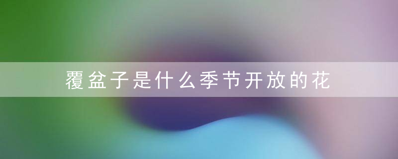 覆盆子是什么季节开放的花 覆盆子哪个季节开花呢